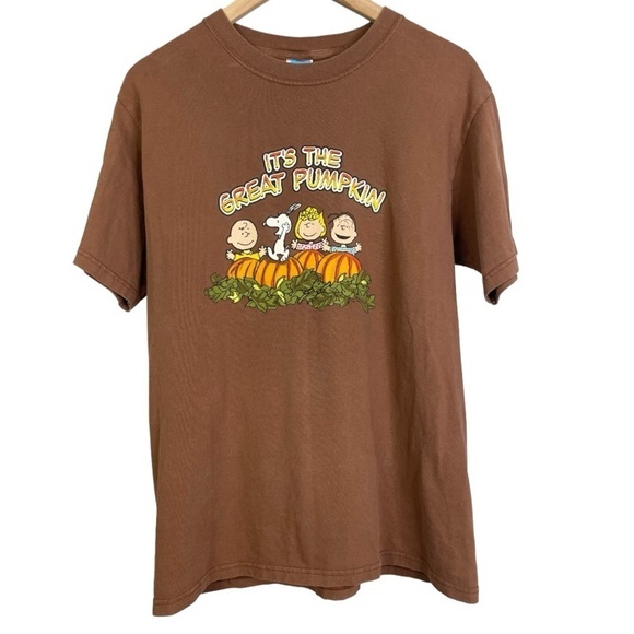 Peanuts  Women’s Charlie Brown “It’s The Great Pumpkin” Brown T-shirt - Picture 1 of 3